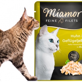 Miamor Chicken Filets in Poultry Jelly