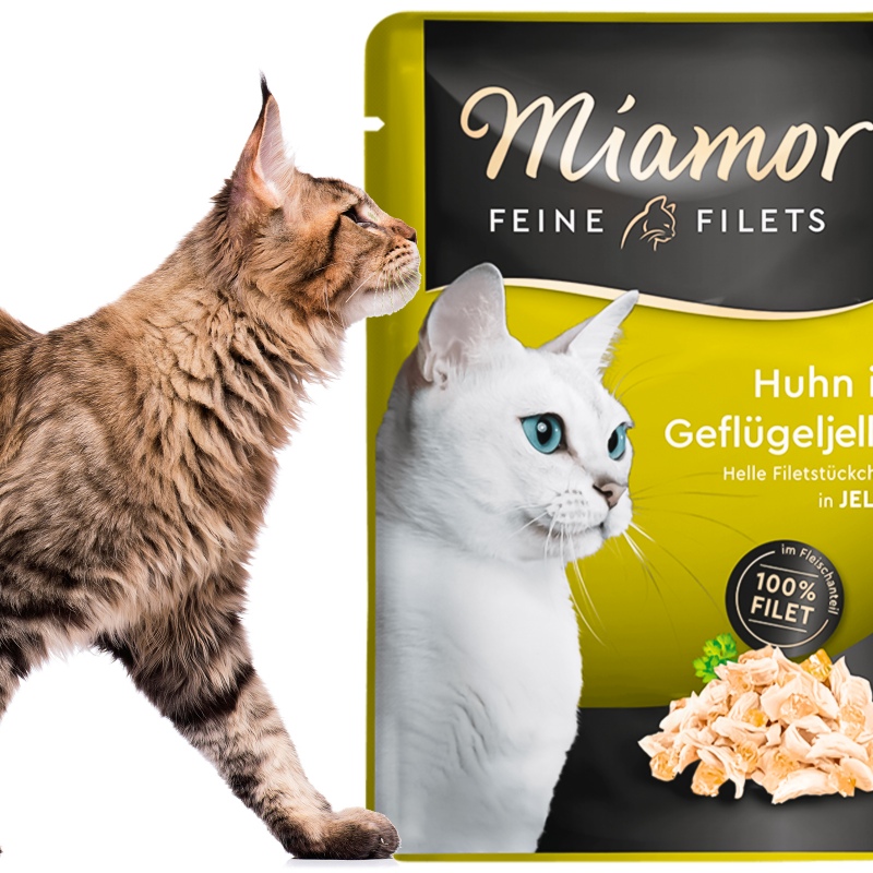 Miamor Filets Kylling i Fjærfjelgelé 100g