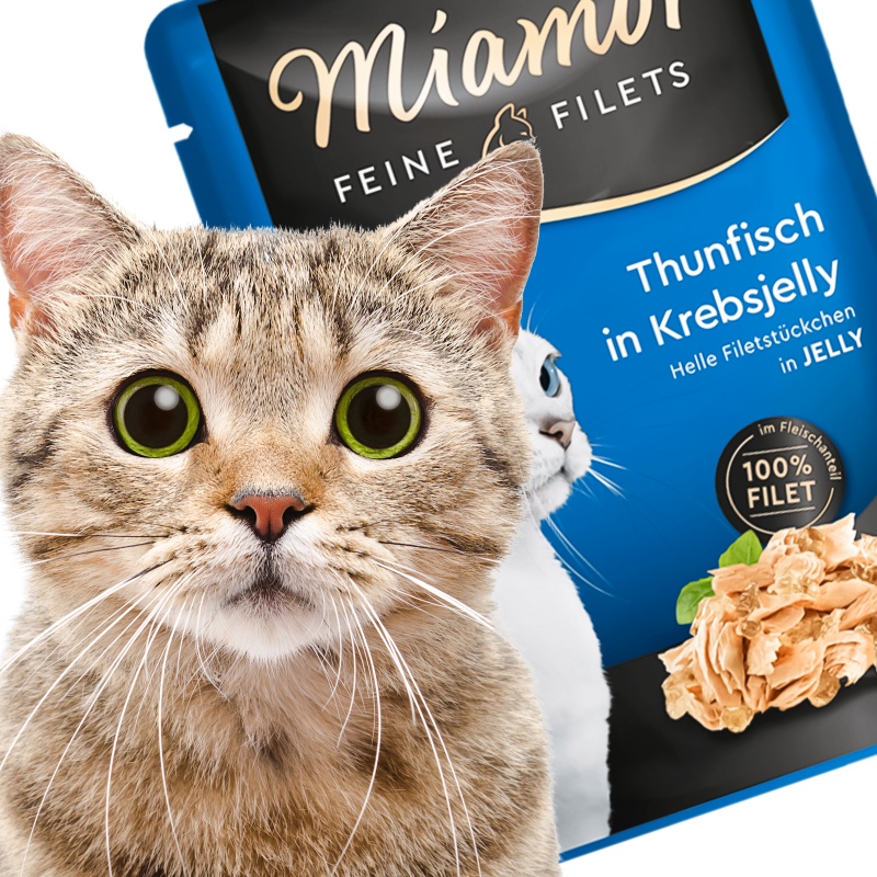 Miamor Filets Thunfisch w galarecie krabowej