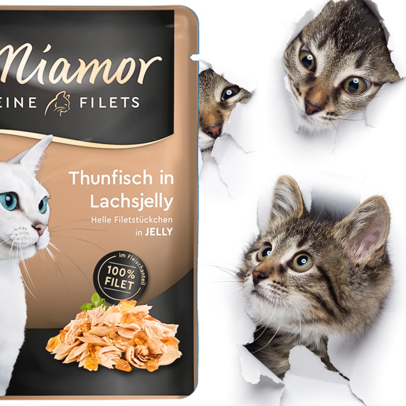 Miamor Filets: Thunfisch in Gelee