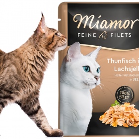 Miamor Filets: Thunfisch in Gelee