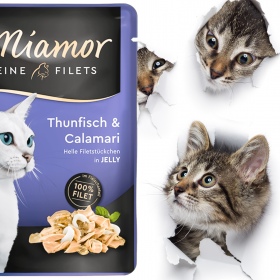 Miamor Filets Thunfisch & Calamari - tuńczyk i kalmary w galarecie 100g