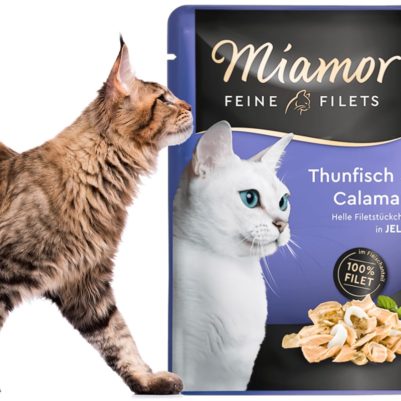 Miamor Filets: тунець та кальмари в желè