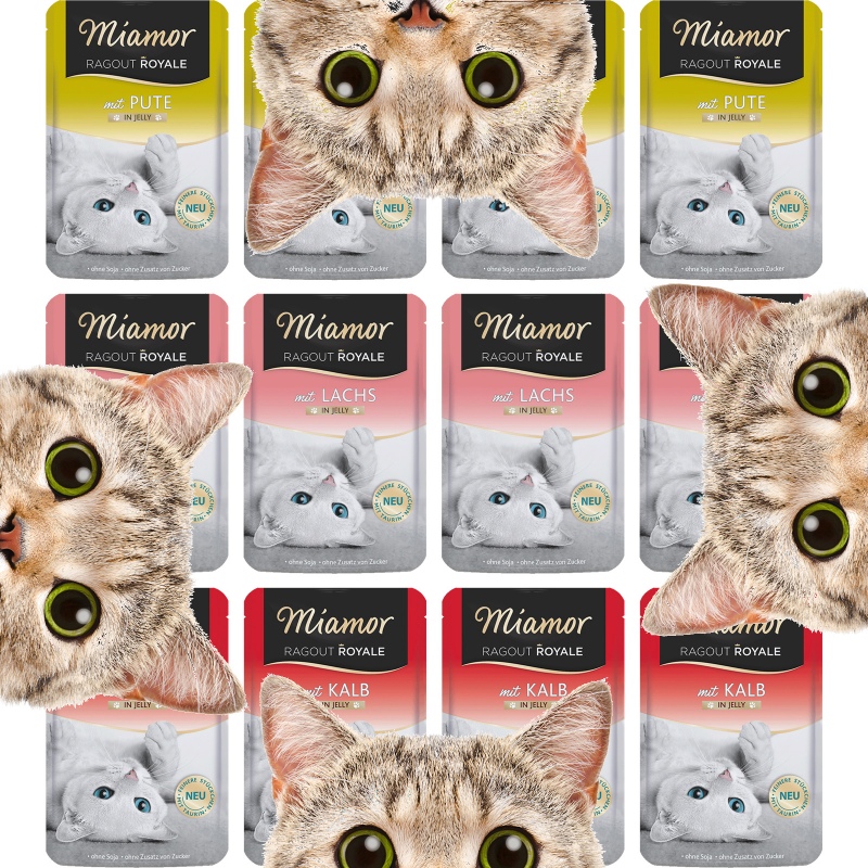 Miamor Royale 12pack - Gatos Gourmet