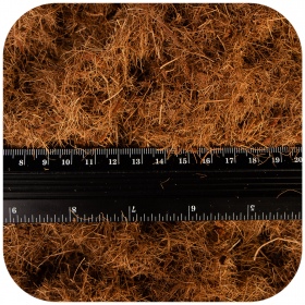 Terrario Terra Bedding - 5l coconut fiber substrate