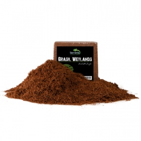 Terrario Brazil Wetlands 1.5L Coconut Substrate