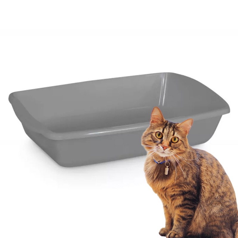 Comfy Cleo Classic - Caja de arena abierta gris