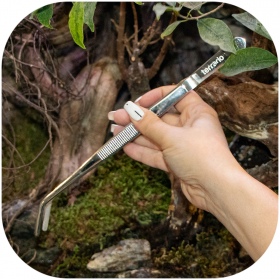 Curved waterproof terrarium tweezers 25cm