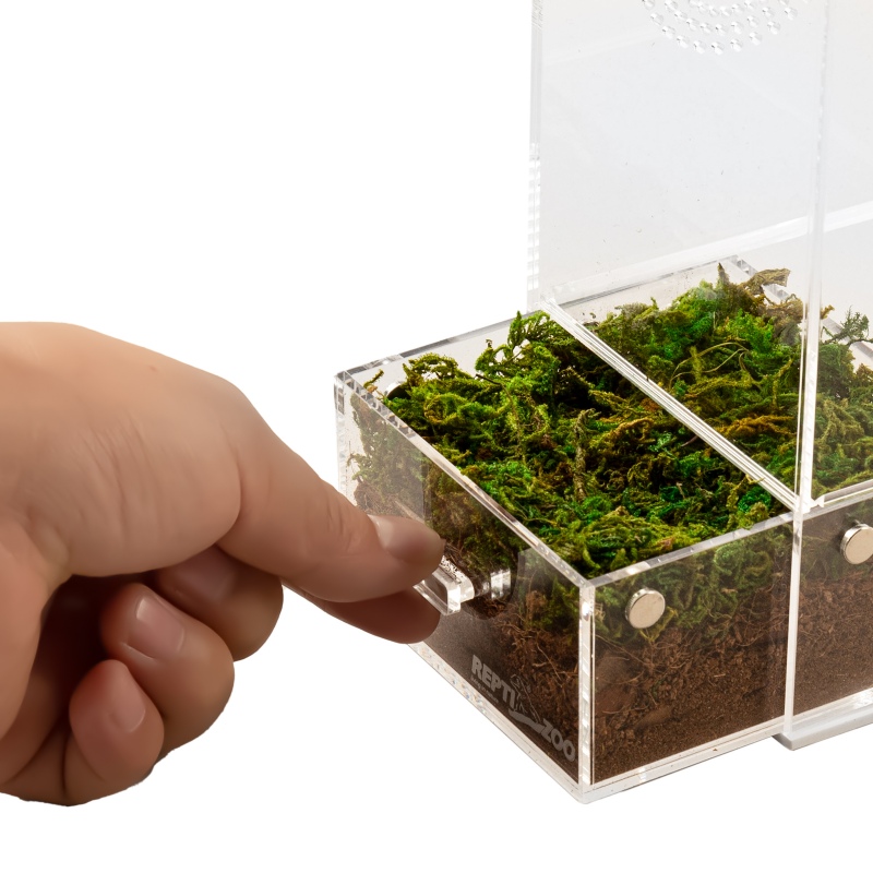 Repti-Zoo Einfach zu reinigendes Terrarium 10x10x20cm