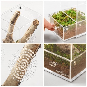 Repti-Zoo Einfach zu reinigendes Terrarium 10x10x20cm