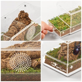 Repti-Zoo Acrylic Terrarium 20x10x10cm