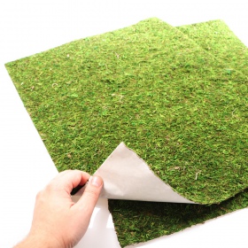 Repti-Zoo Natural Moss Back&Bottom - tło i podłoże z mchu 20x30cm