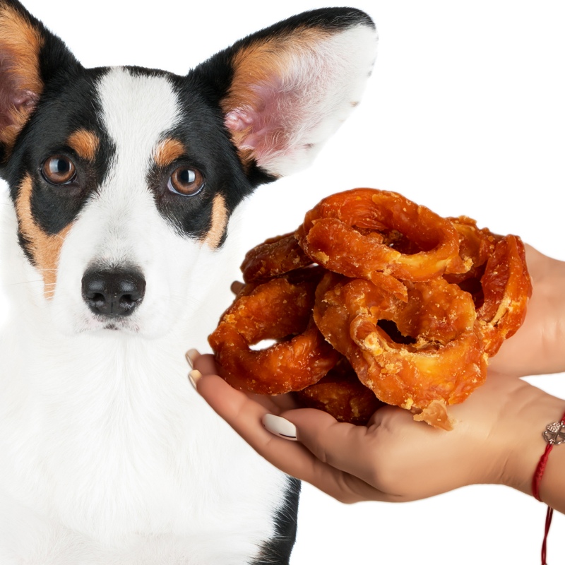 Hilton Chicken & Fish Chews for Dogs