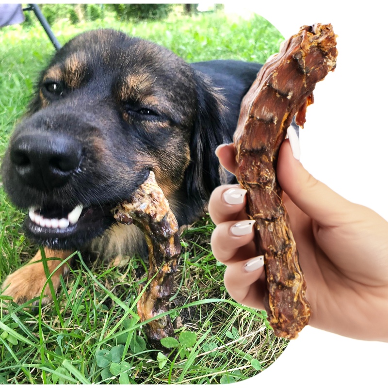 Natural dried duck neck for dogs