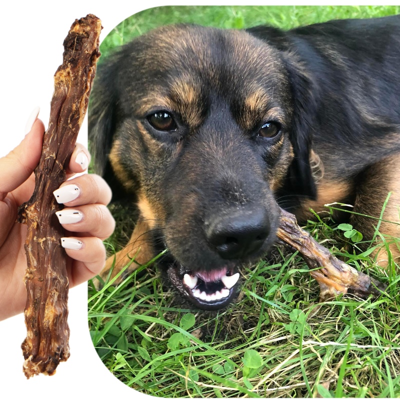 Natural dried duck neck for dogs