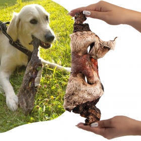 Dried beef nose and cheeks for dogs