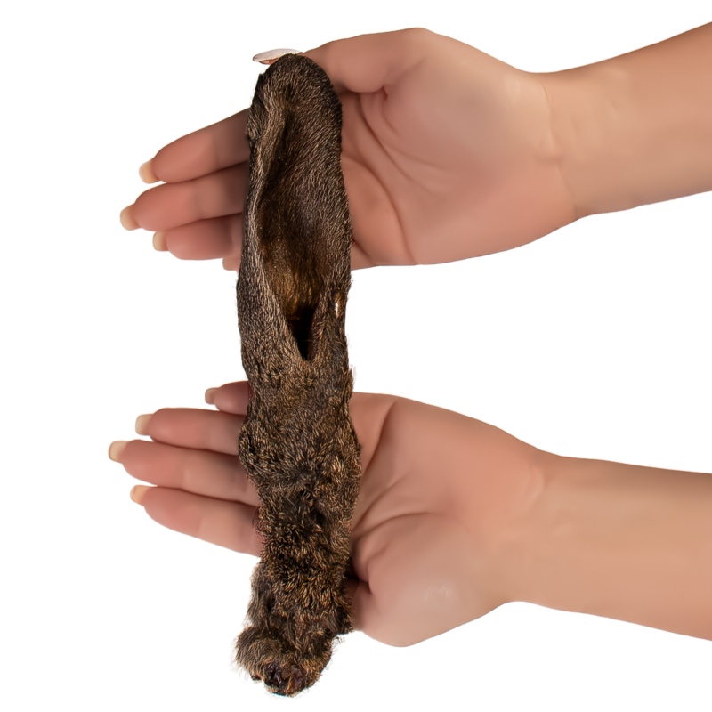 Galletas para perros - Oreja de conejo con pelo