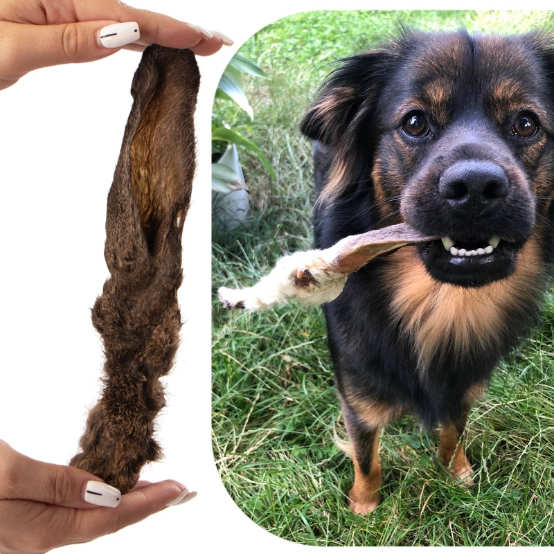 Galletas para perros - Oreja de conejo con pelo