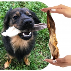 Galletas para perros - Oreja de conejo con pelo