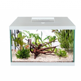 Aquael Leddy Plus 40 aquariumset in het wit