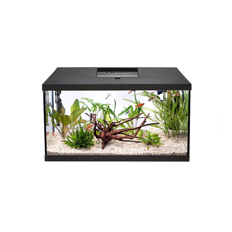 Aquael Leddy Plus 60 aquariumset in zwart