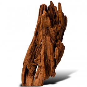 Philippines Classic Driftwood XXS 10cm