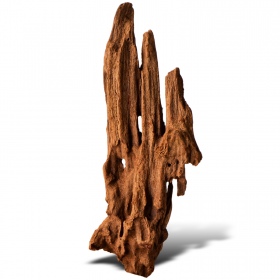 Philippines Classic Driftwood - drzewo mangrowca z wody XXS ok.10cm