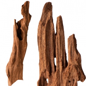 Philippines Classic Driftwood XXS 10cm