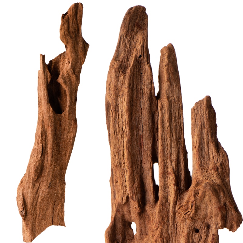 Philippines Classic Driftwood - drzewo mangrowca z wody XXS ok.10cm