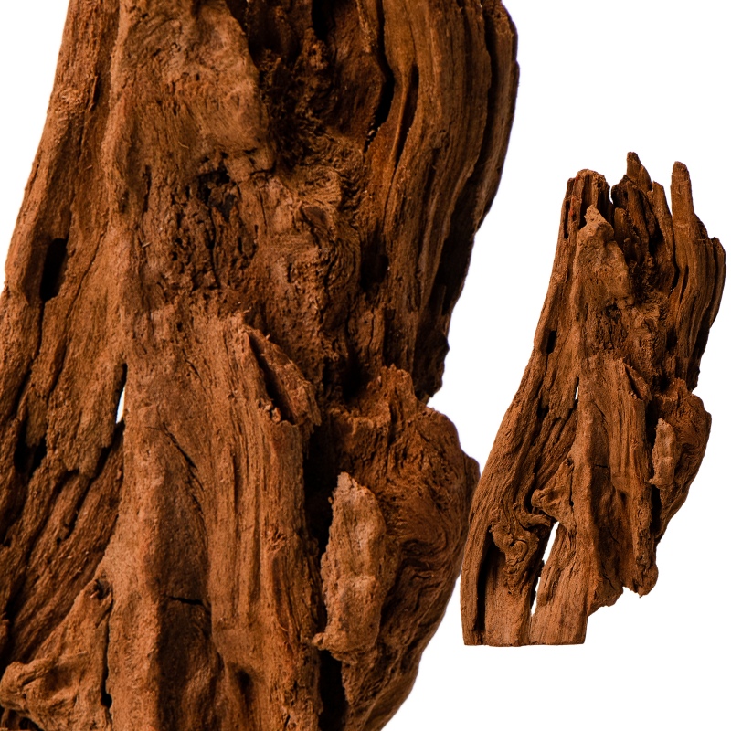 Philippines Classic Driftwood - XXS 10cm