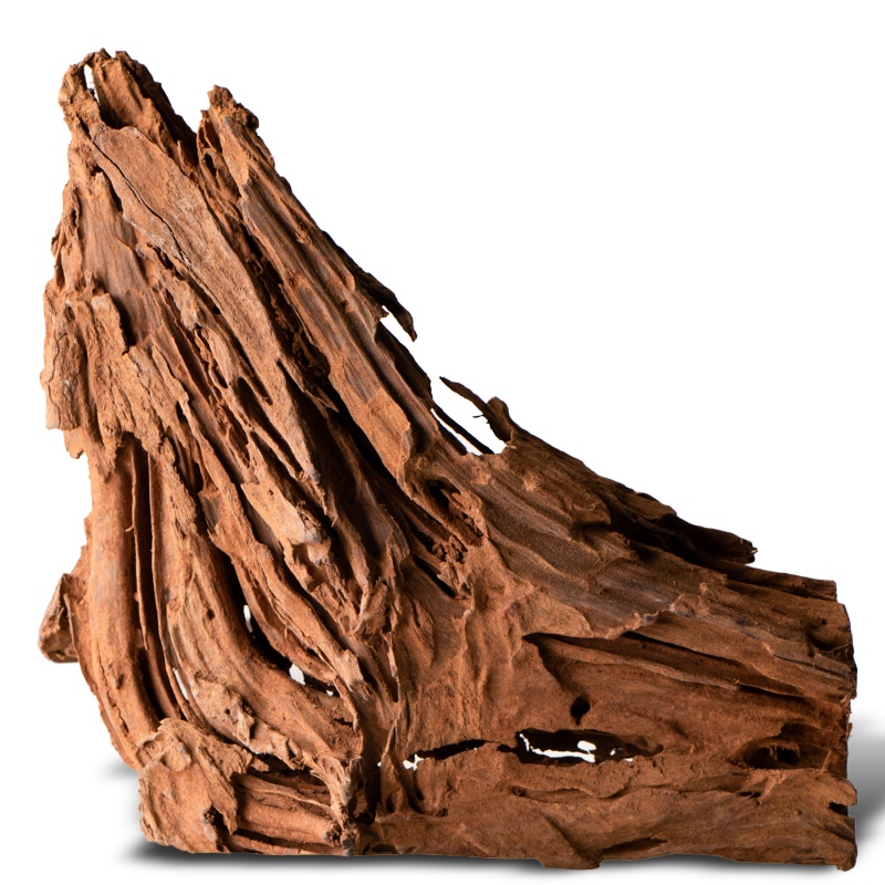 Filipiinide klassikaline driftwood S - 20cm