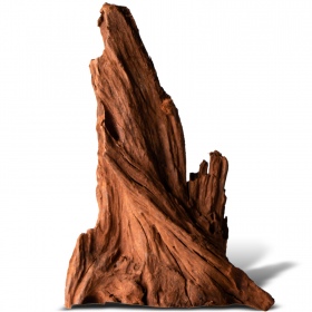 Filipíny Classic Driftwood S 20cm