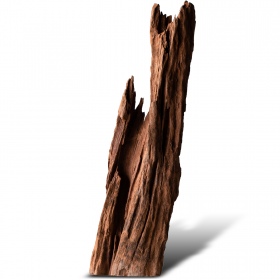 Filipiinide klassikaline driftwood S - 20cm