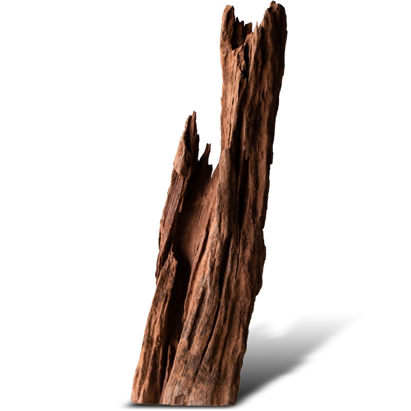 Philippines Classic Driftwood - 20cm