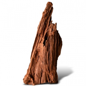 Filipiinide klassikaline driftwood S - 20cm