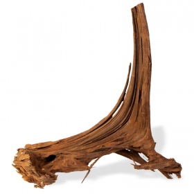 Filipiinide klassikaline driftwood S - 20cm