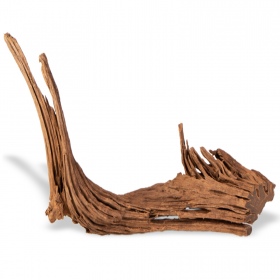 Filipiinide klassikaline driftwood S - 20cm