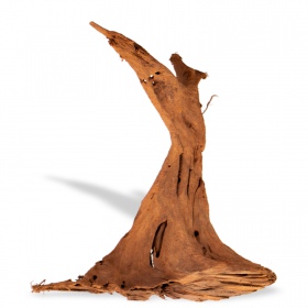 Filippinene Klassisk Driftwood M 25-30cm