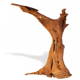 Filipíny Klasické Driftwood M 25-30cm