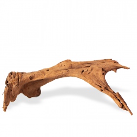 Philippines Classic Driftwood - drzewo mangrowca z wody M 25cm - 30cm