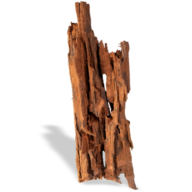 Filippinene Klassisk Driftwood