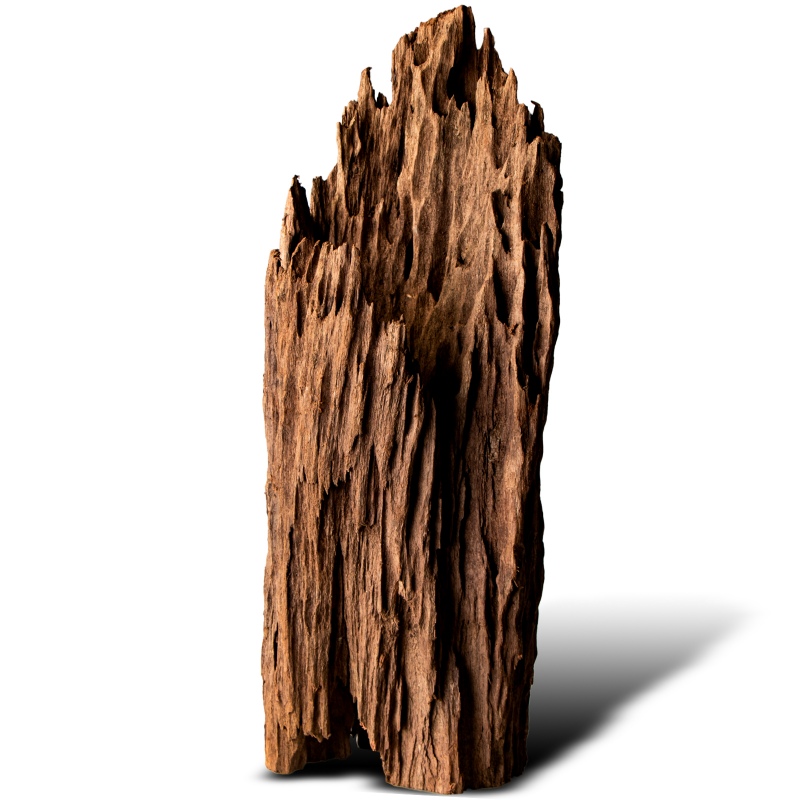 Philippines Classic Driftwood - drzewo mangrowca z wody L 30cm - 40cm