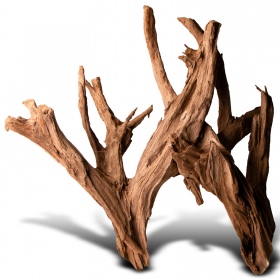 Philippines Classic Driftwood - drzewo mangrowca z wody L 30cm - 40cm