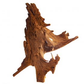 Philippines Classic Driftwood - drzewo mangrowca z wody L 30cm - 40cm