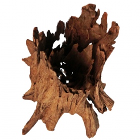 Philippinen Klassisches Driftwood 30-40 cm für Aquarien