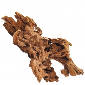 Filipiinide klassikaline driftwood XL 40-50cm