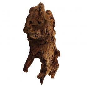 Filipiinide klassikaline driftwood XL 40-50cm