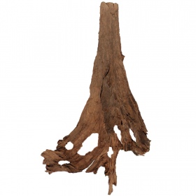 Philippines Classic Driftwood - drzewo mangrowca z wody XXL 70cm - 110cm