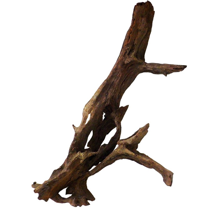 Filipínské klasické driftwood XXL