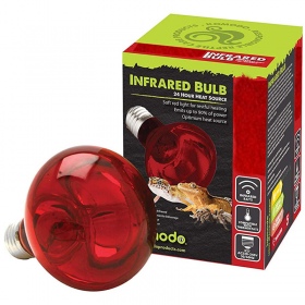 Komodo Infrared 100W Heat Bulb for Reptiles